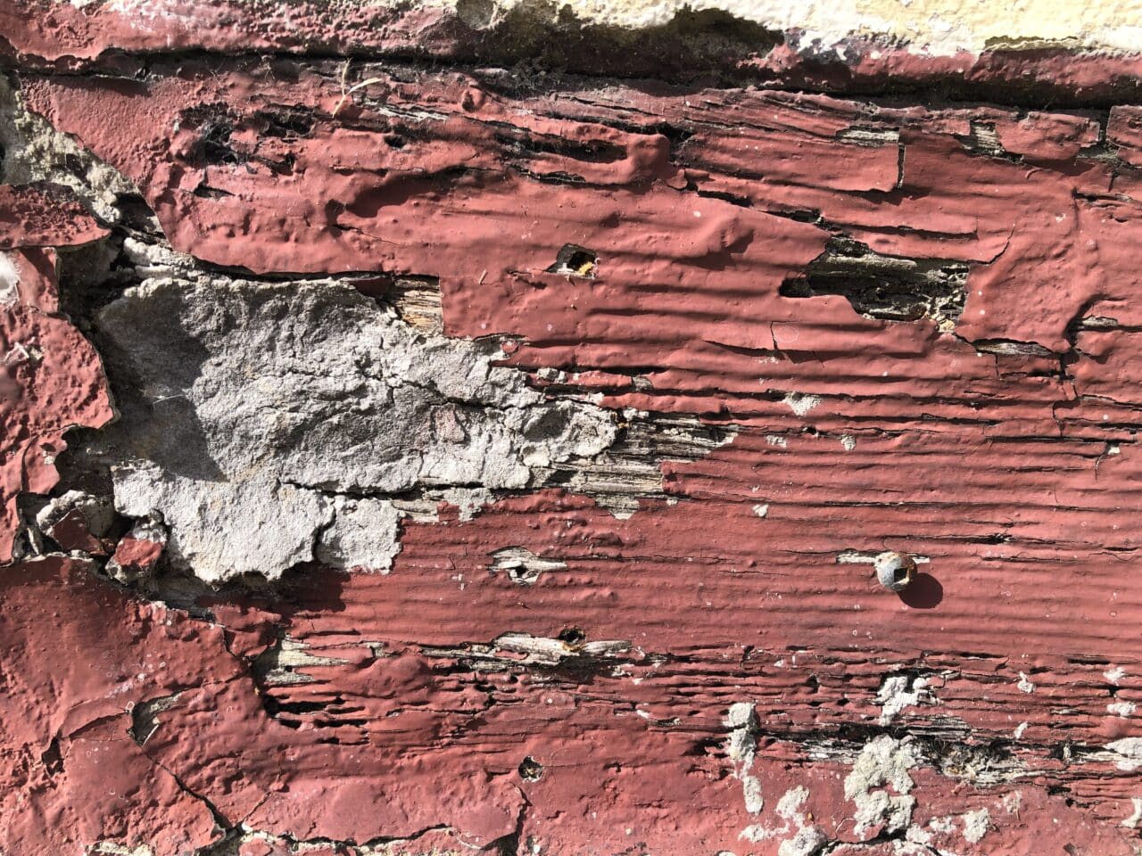 la peinture étouffe le bois
