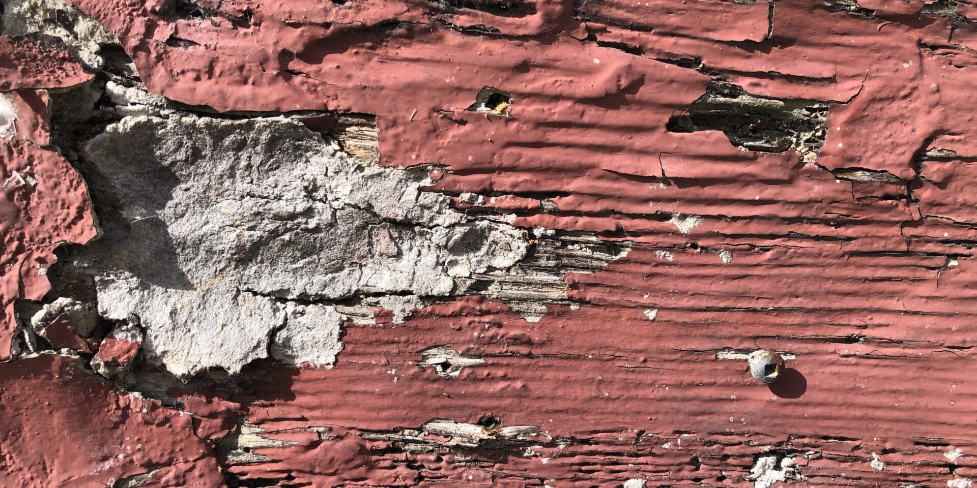 la peinture étouffe le bois